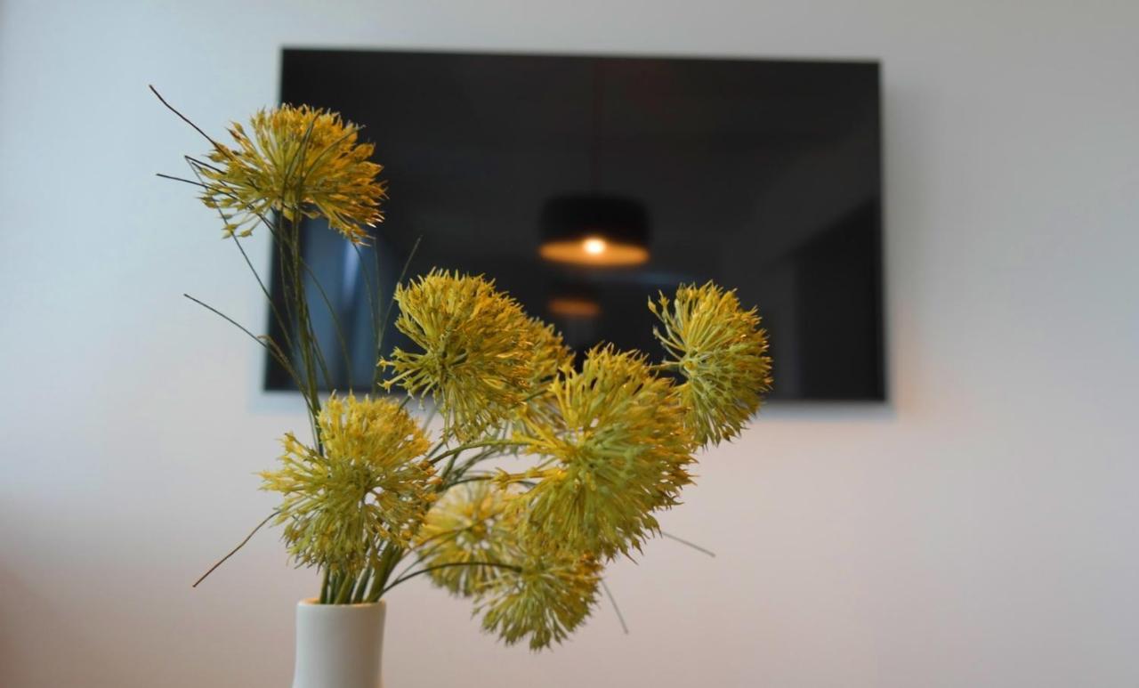Apartment Flora Pula Luaran gambar